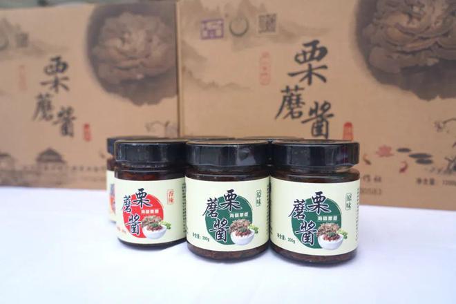 “骑”聚盛典 好“骑”延寿——2024年度昌平骑行盛典圆满举办(图14)
