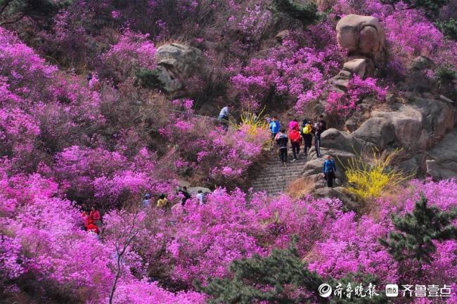 30项活动4条线路解锁青岛西海岸新区春日旅游密码(图1)