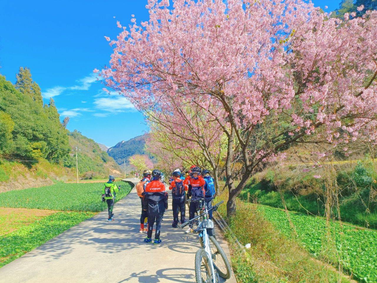 火狐电竞入口骑行：认同感与自由的深度较量(图7)