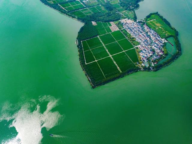 好天气骑车去金泽踏春骑行指南来了(图10)