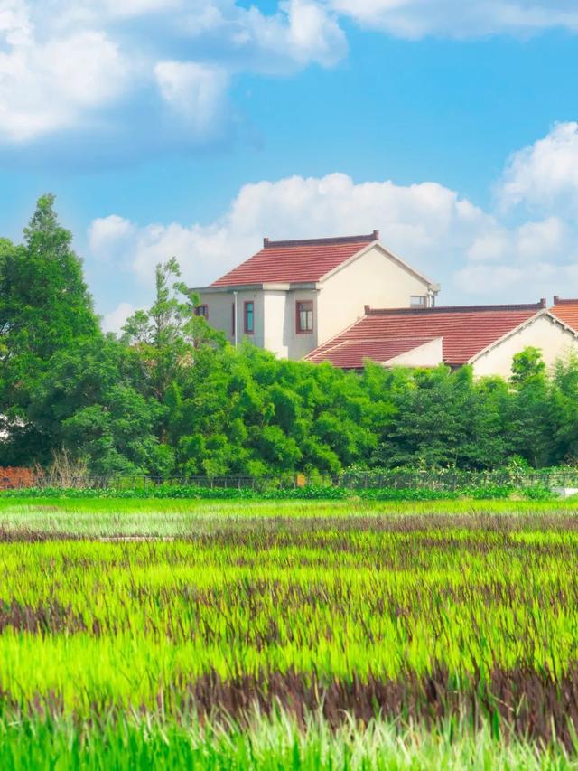叮来自乡野的春日骑行邀请(图4)