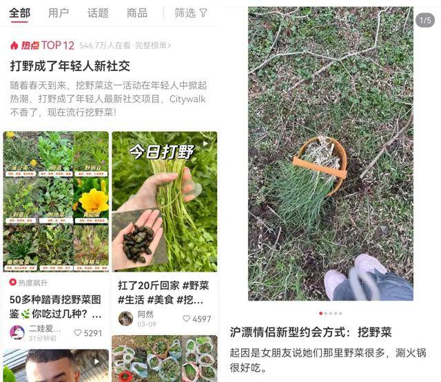边挖野菜边相亲这届年轻人花99元当“王宝钏”火狐电竞网址(图2)