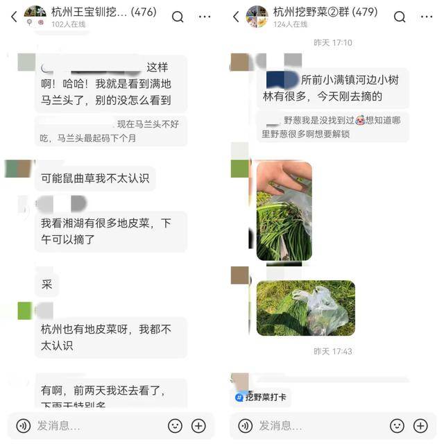 边挖野菜边相亲这届年轻人花99元当“王宝钏”火狐电竞网址(图5)