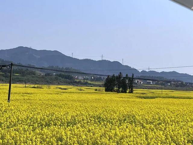 边挖野菜边相亲这届年轻人花99元当“王宝钏”火狐电竞网址(图7)