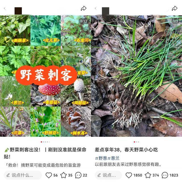 边挖野菜边相亲这届年轻人花99元当“王宝钏”火狐电竞网址(图8)