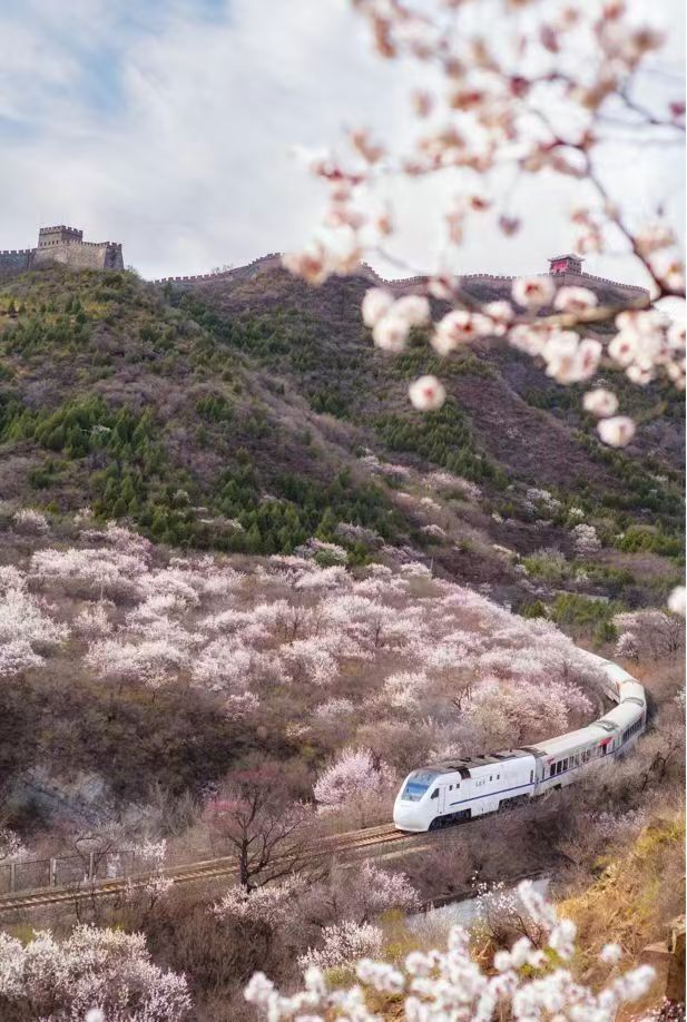火狐电竞平台列车穿花海文旅促振兴(图1)