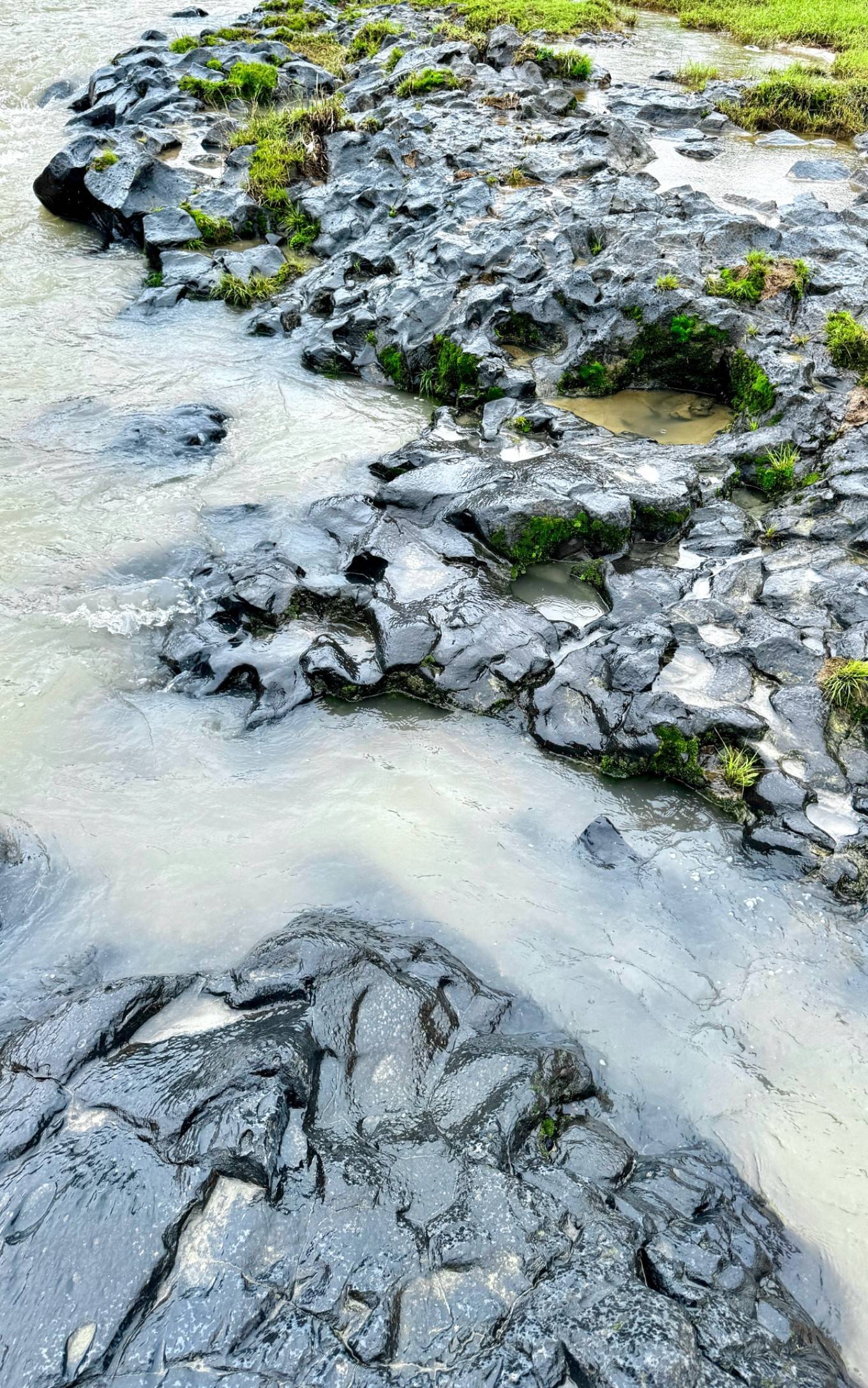 海南东线骑行分段：文昌椰林到万宁冲浪的最佳节奏(图1)