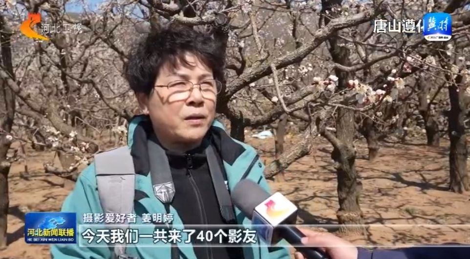 花开京津冀 共赏杏花之美 品味明媚春光(图3)