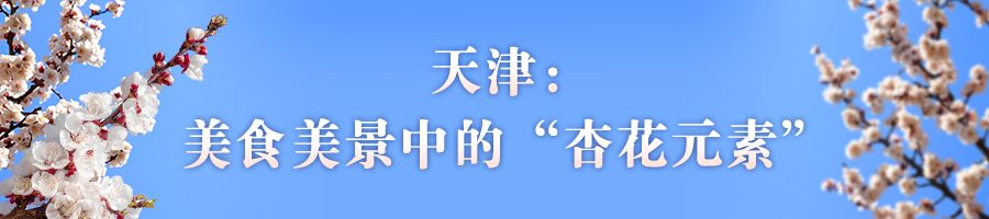 花开京津冀 共赏杏花之美 品味明媚春光(图6)