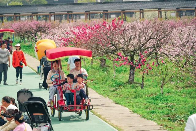 听说“天花板”骑行路线就在金山……(图8)