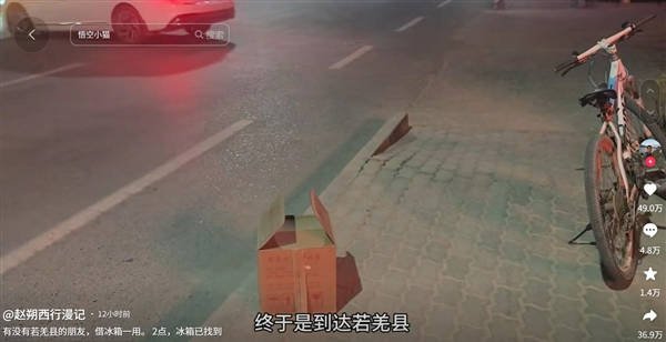 网红小猫“悟空”去世 从被收养到去世还不到半年(图1)