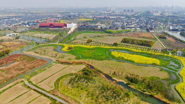 春日骑行攻略6条绝美沪郊路线解锁魔都限定浪漫(图6)