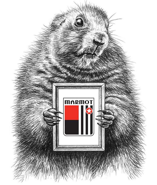 marmot官方旗舰店官网土拨鼠品牌百科最顶级自行车档次介绍(图1)